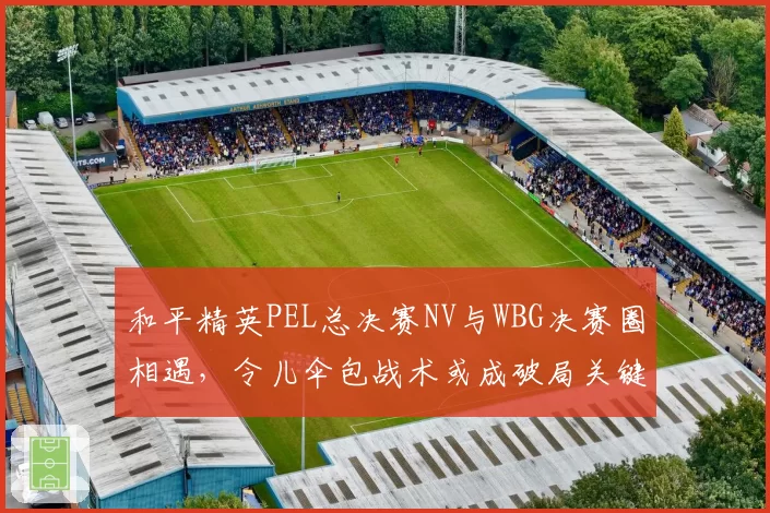 和平精英PEL总决赛NV与WBG决赛圈相遇，令儿伞包战术或成破局关键